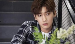 洪知秀恋情谁爆料的啊视频,揭秘幕后爆料者身份